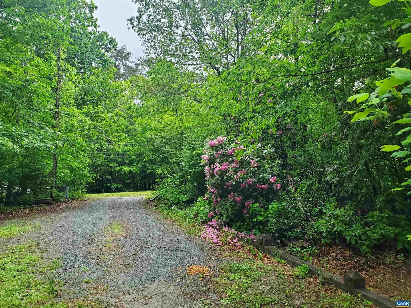671 Creek Rd photo 61