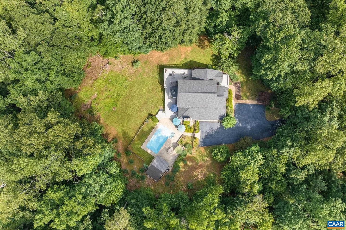 223 Fern Creek Ln photo 3
