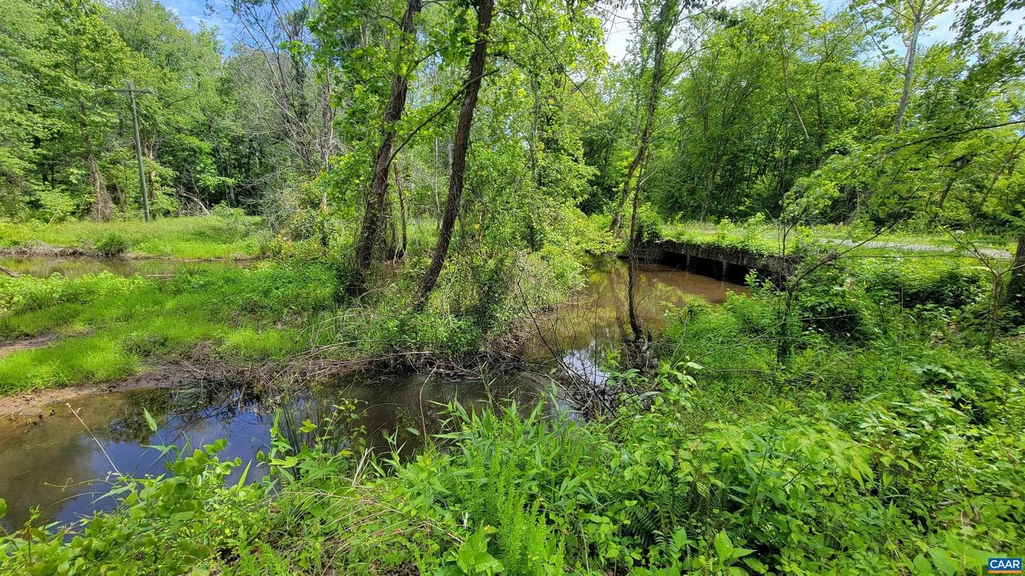 1217 Cedar Hill Rd photo 27