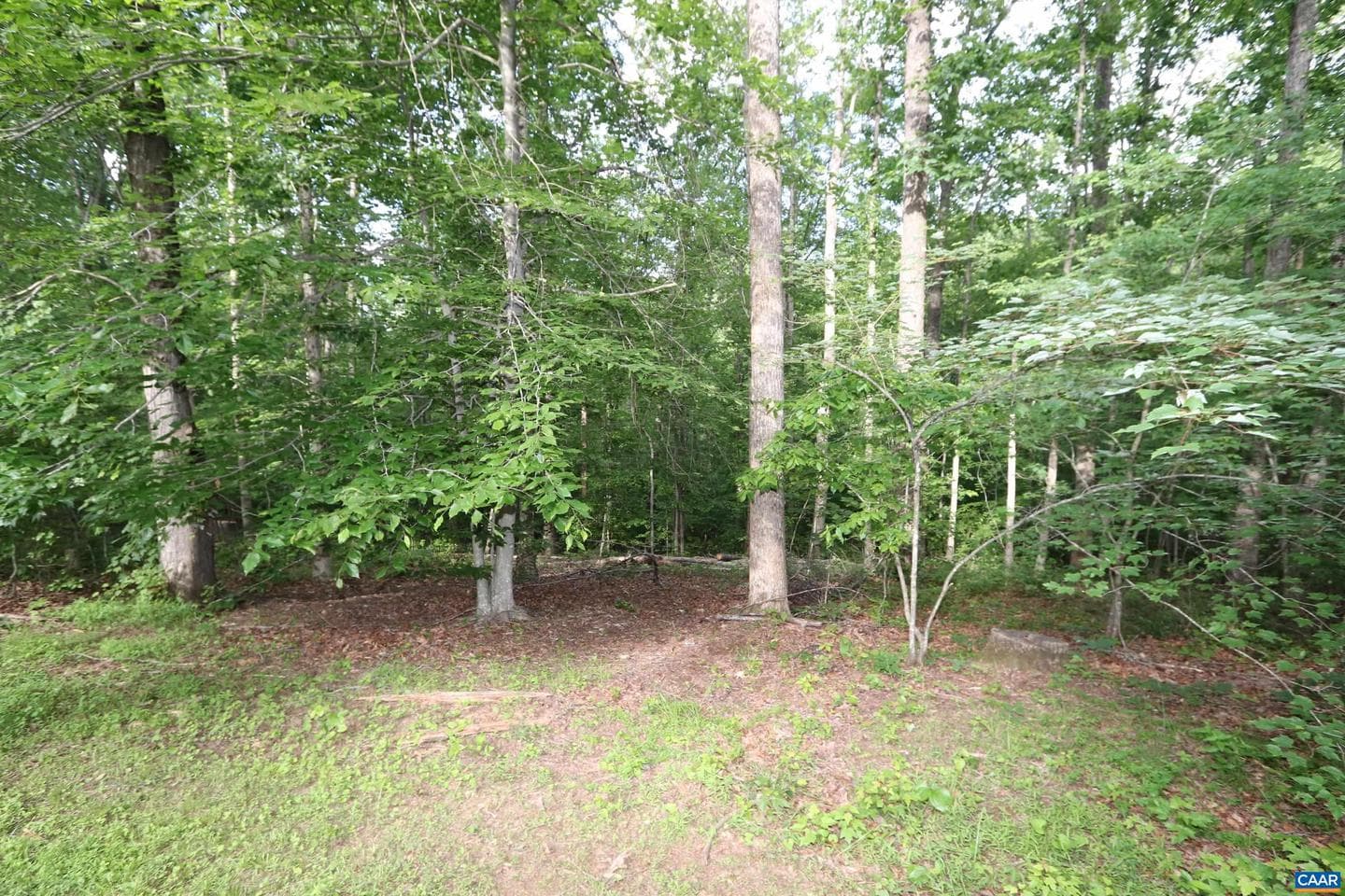 5254 Havenwood Ln photo 60