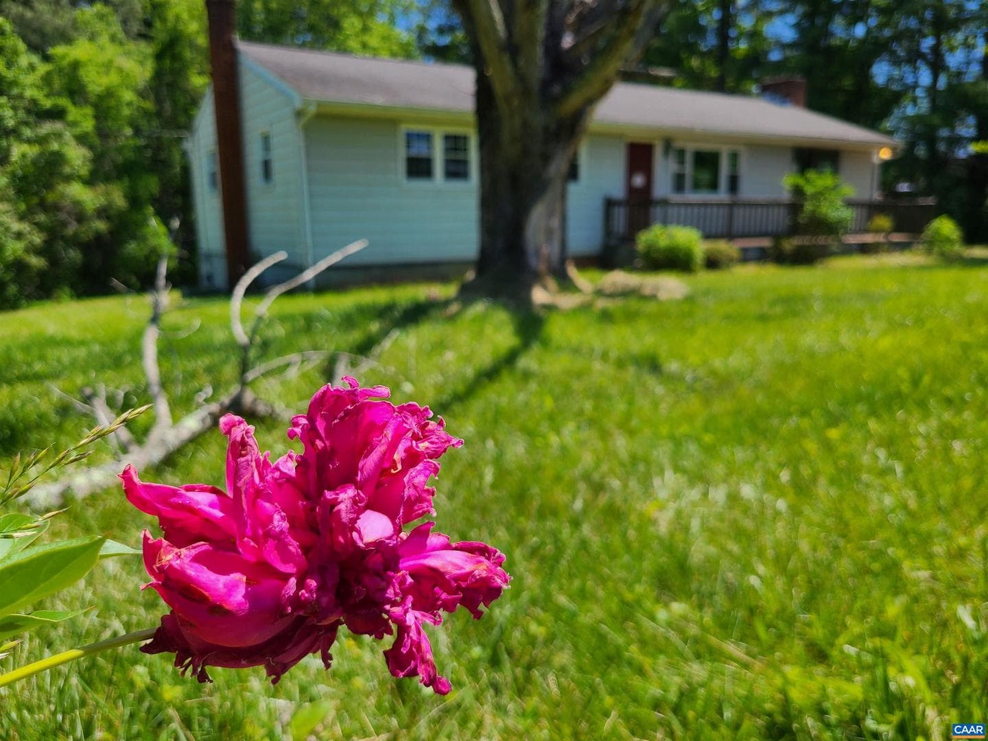 10307 Spotswood Trl photo 29