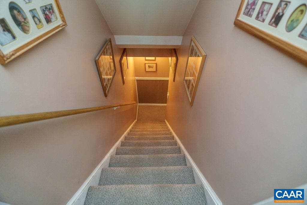 10810 Mountain Laurel Ct photo 50