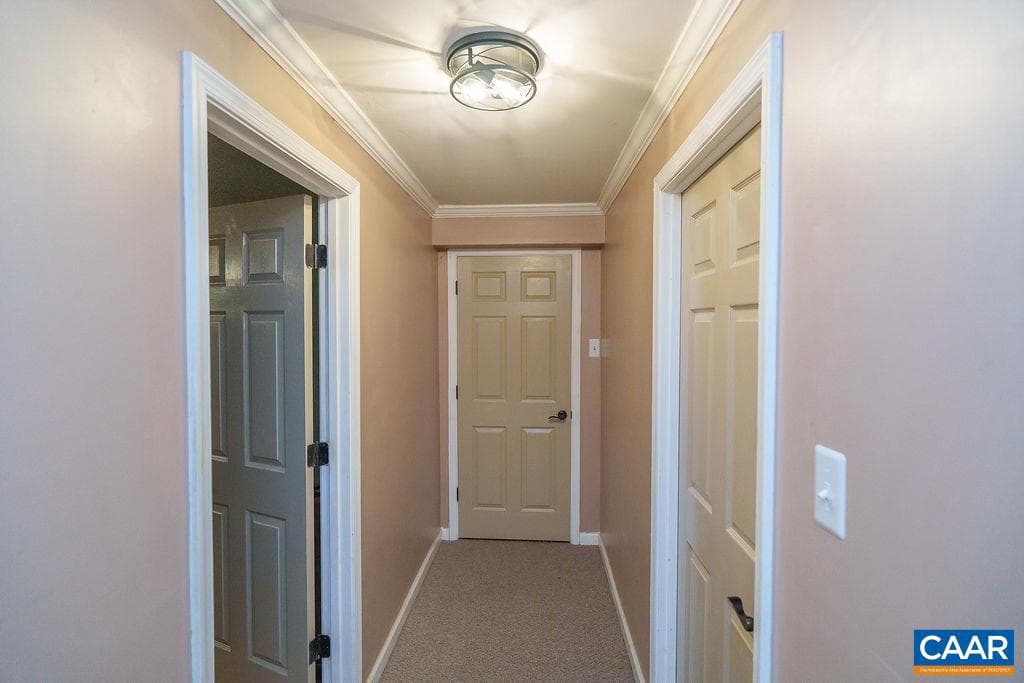 10810 Mountain Laurel Ct photo 54