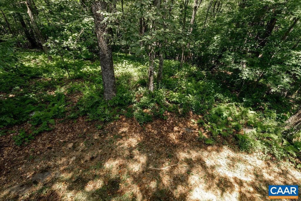 116 Bear Run photo 10