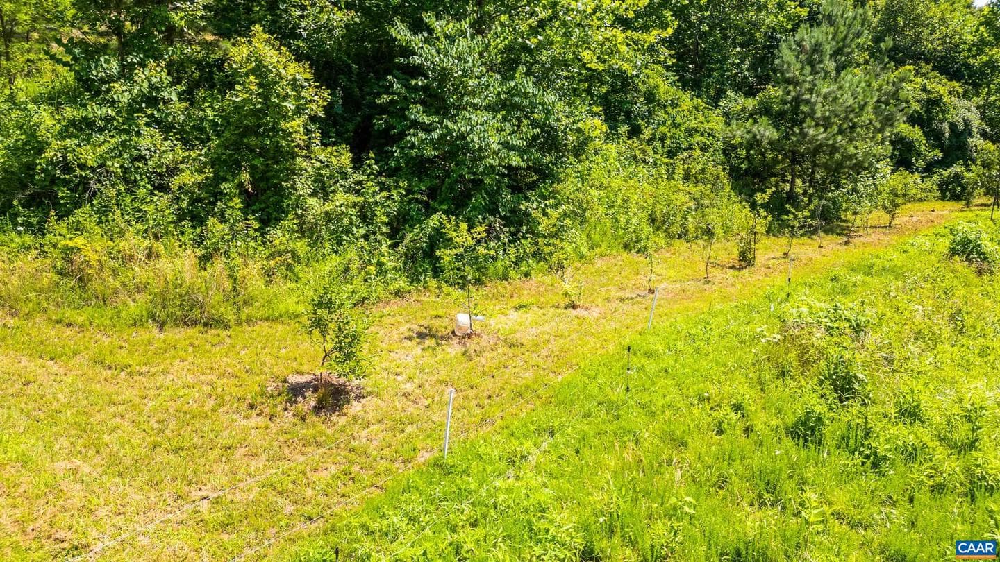 350 Creekside Ln photo 7