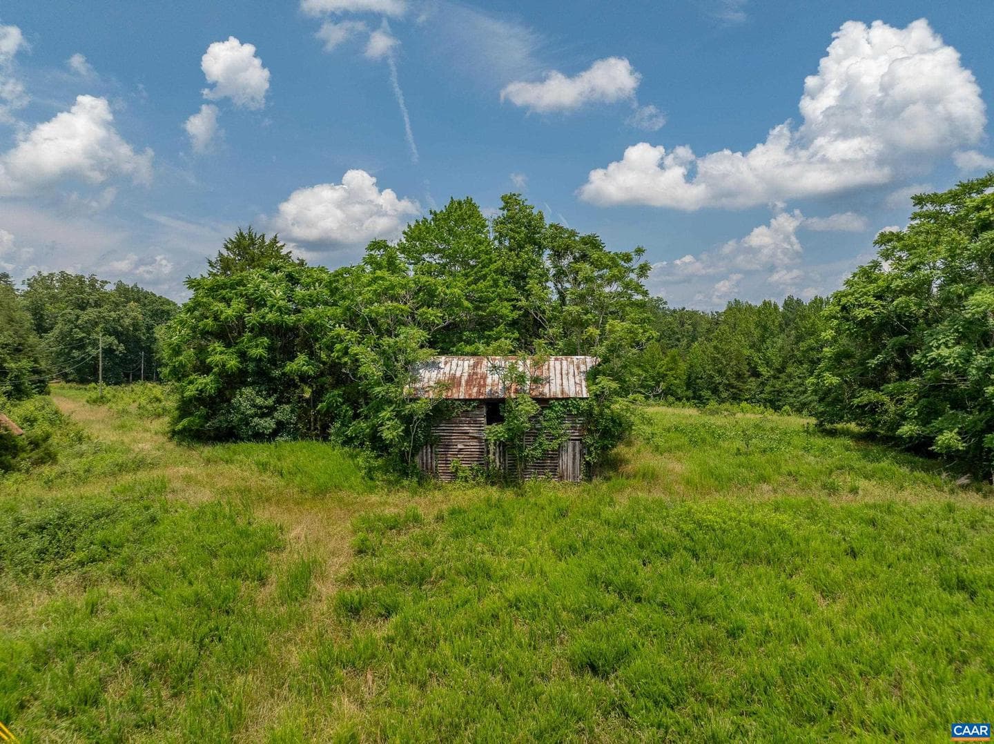 1566 Georges Mill Rd photo 28