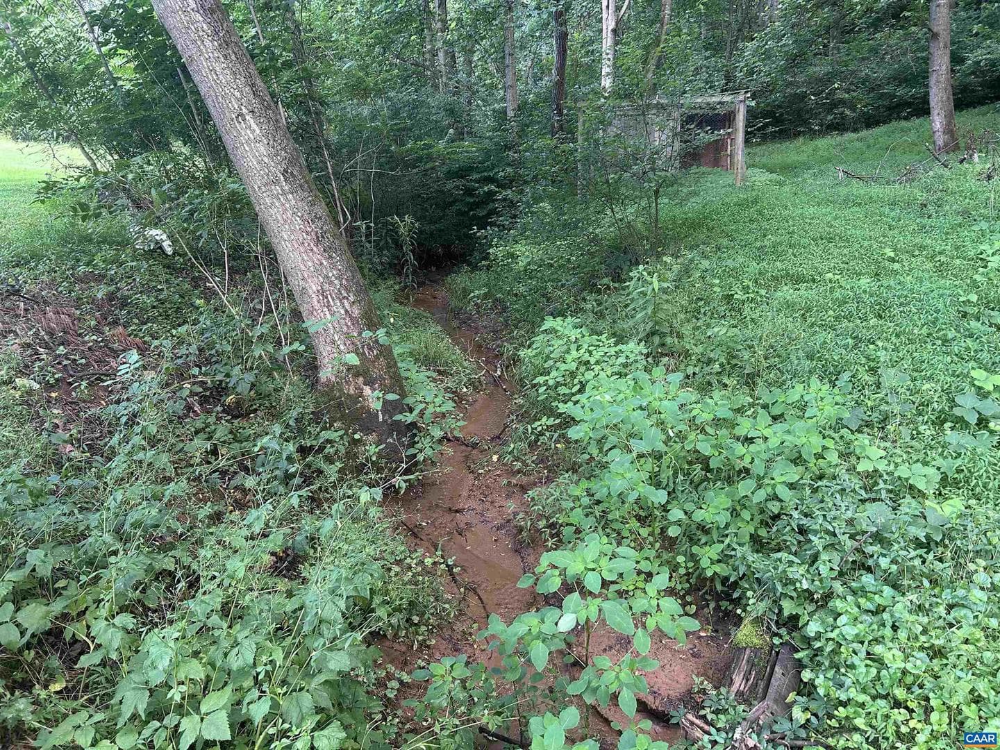 1863 River Rd photo 38