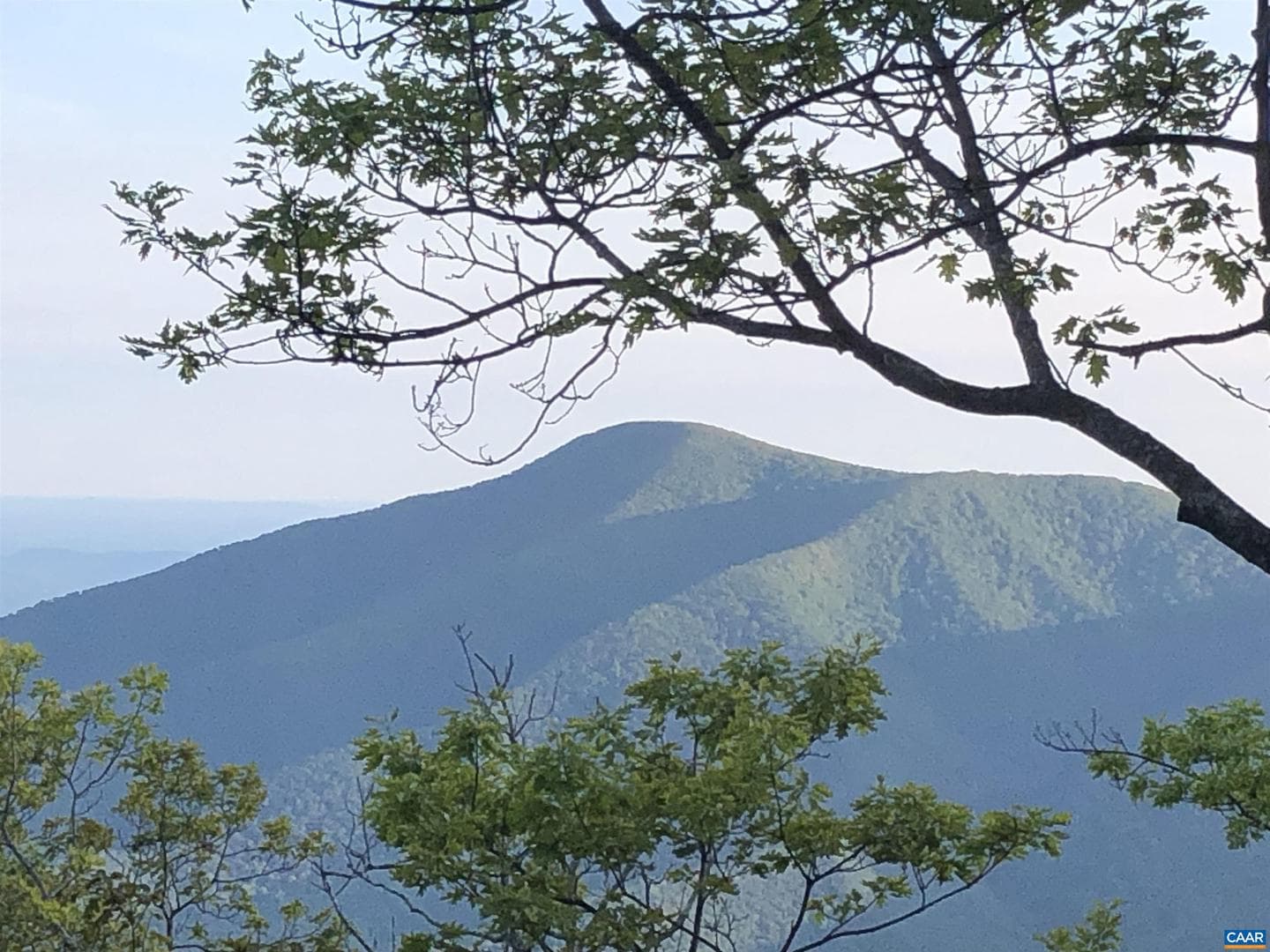 788 Devils Knob Loop photo 25