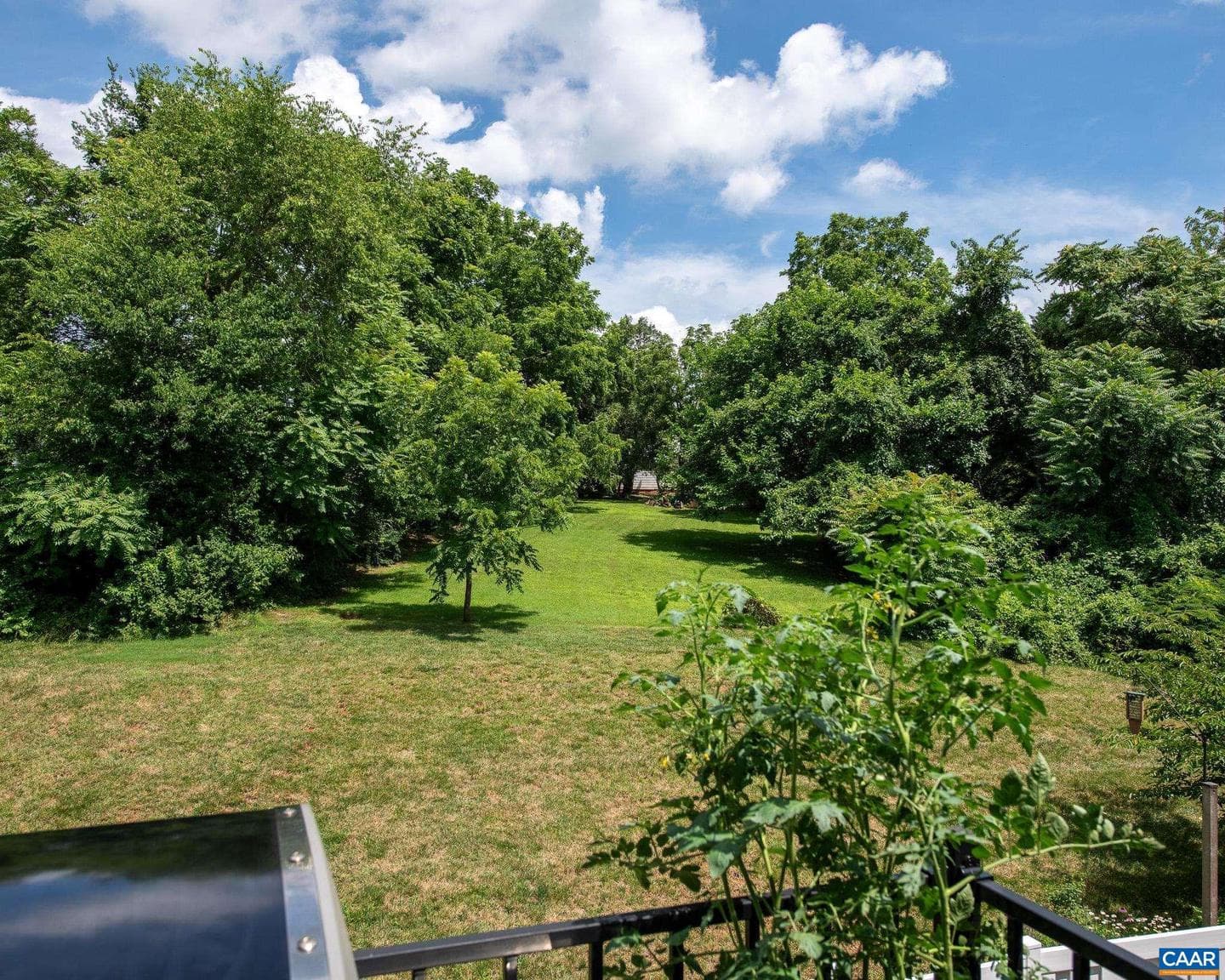 142 Junction Ln photo 14