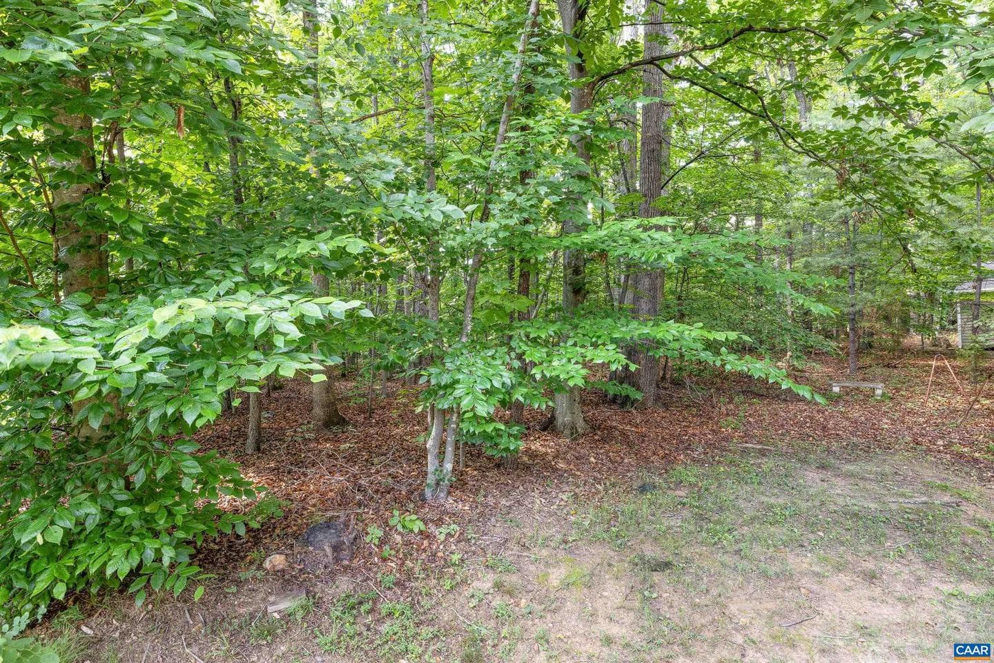 2040 Whispering Woods Dr photo 8