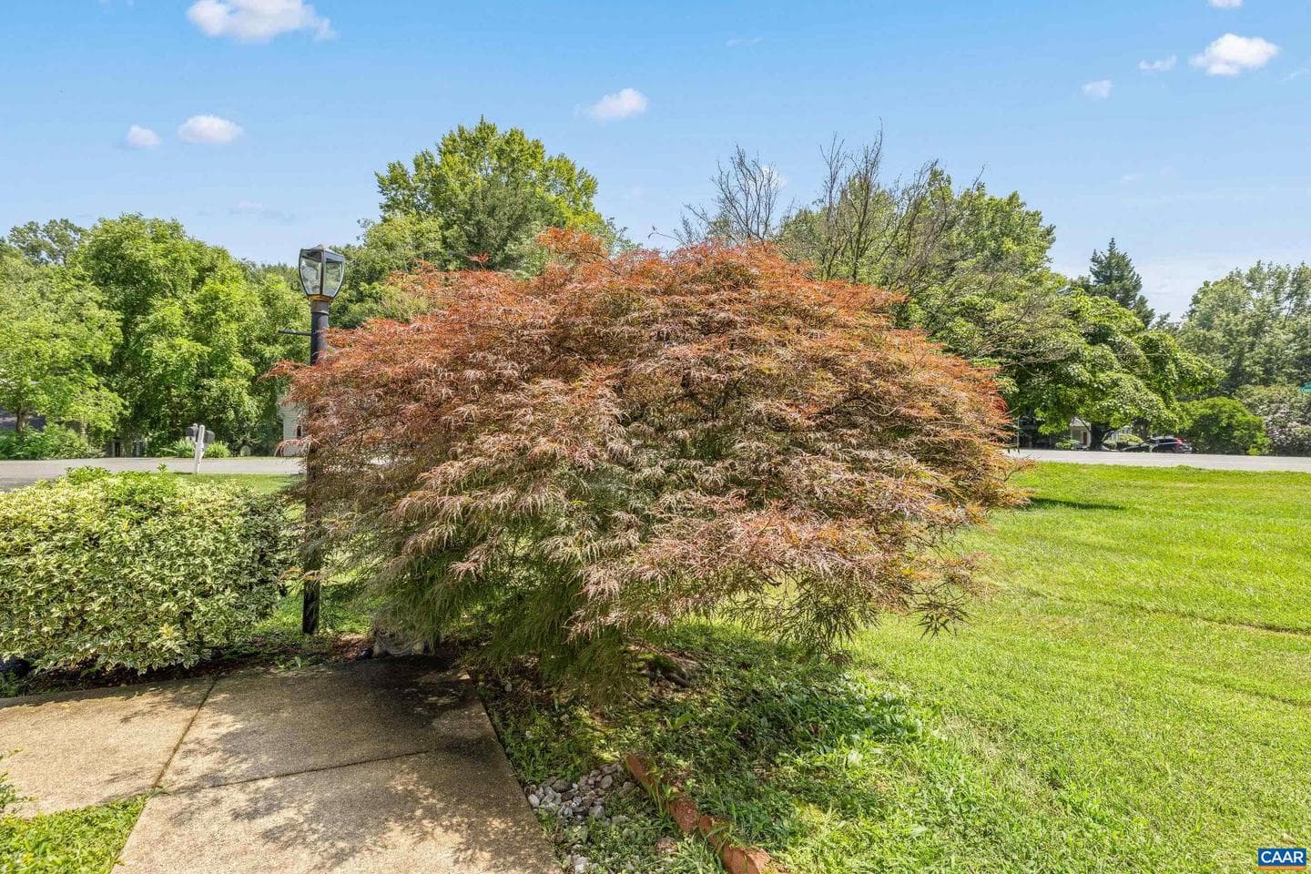 2040 Whispering Woods Dr photo 9