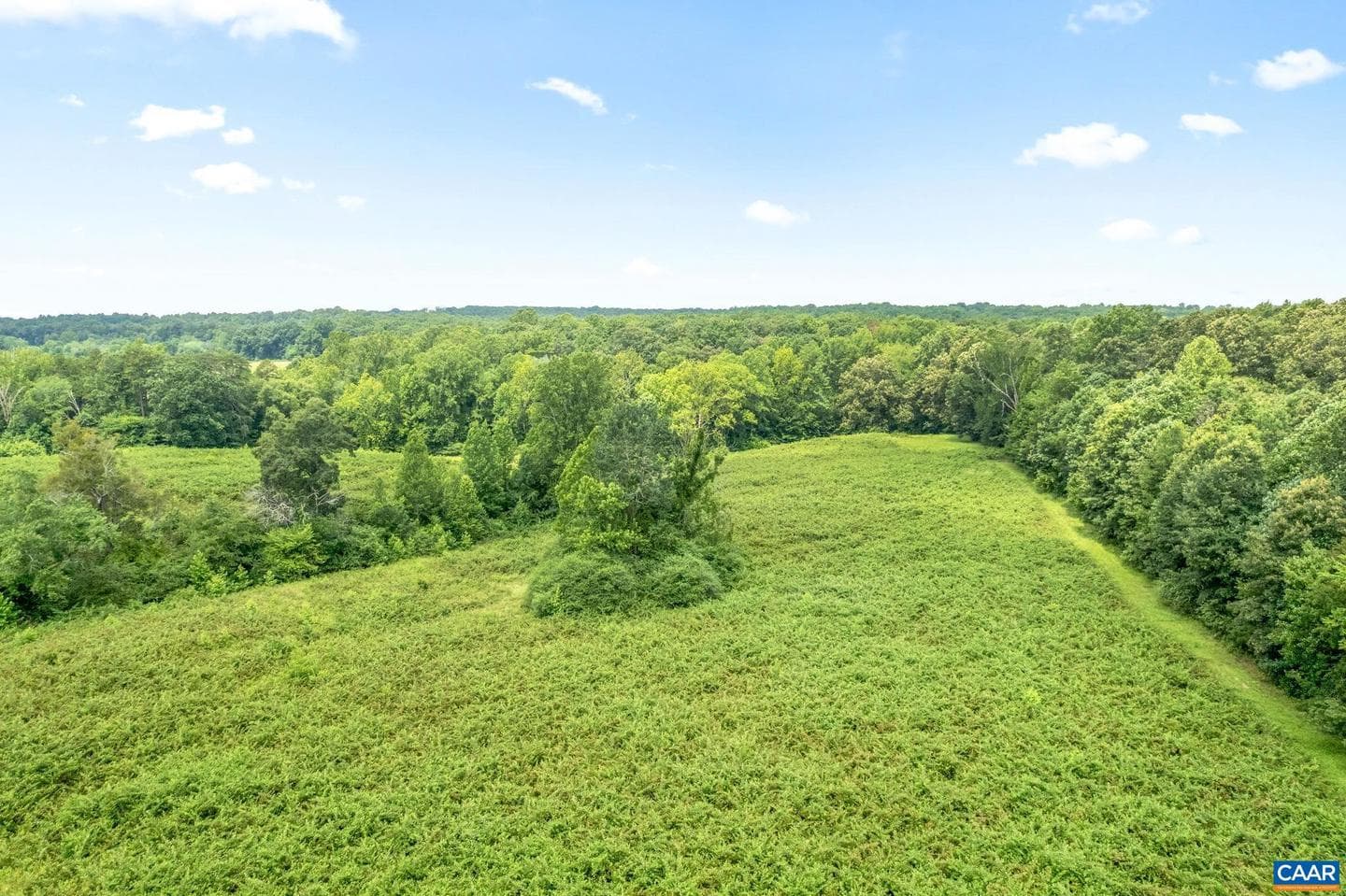 5039 James Madison Hwy photo 65