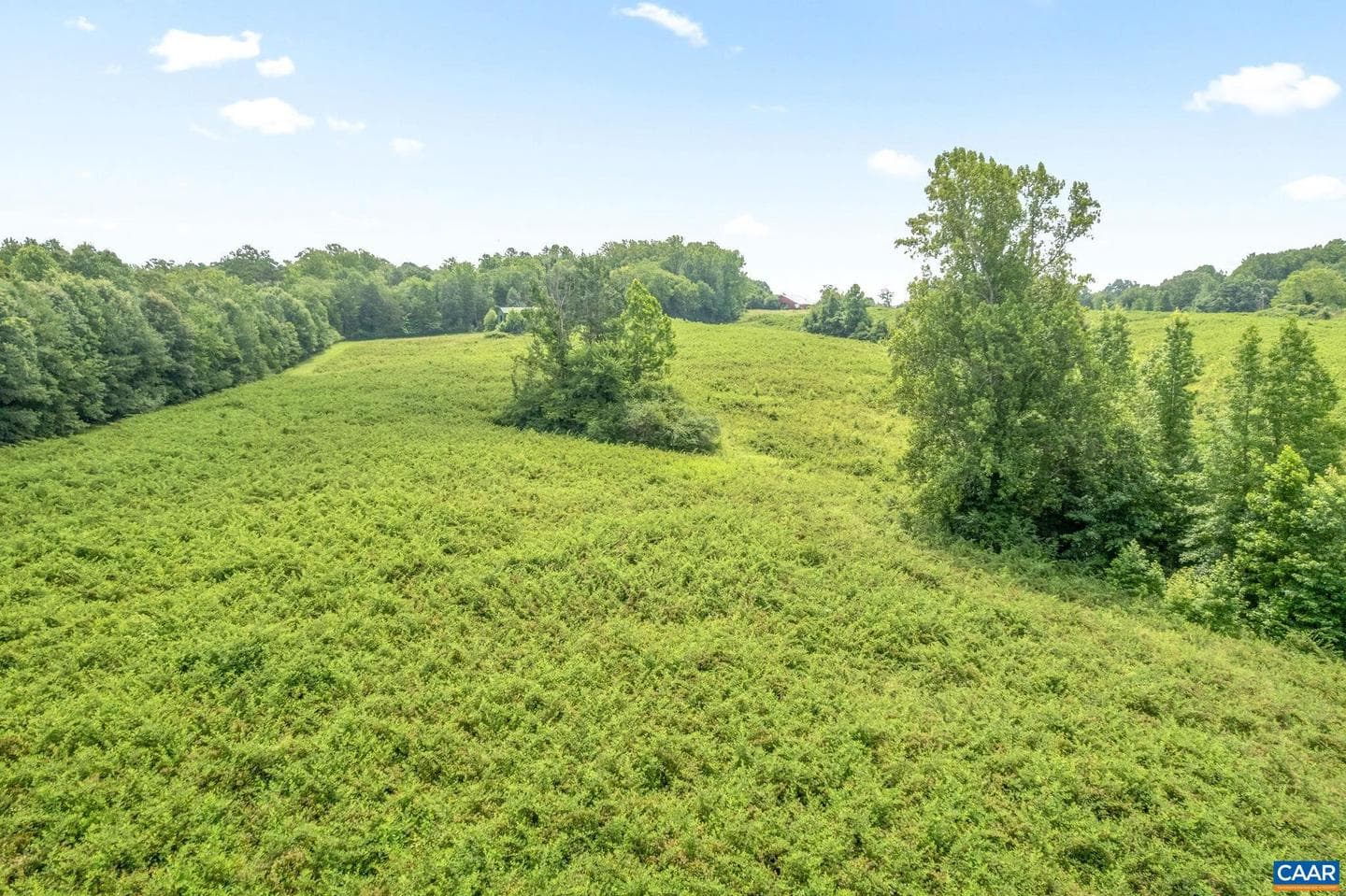 5039 James Madison Hwy photo 67
