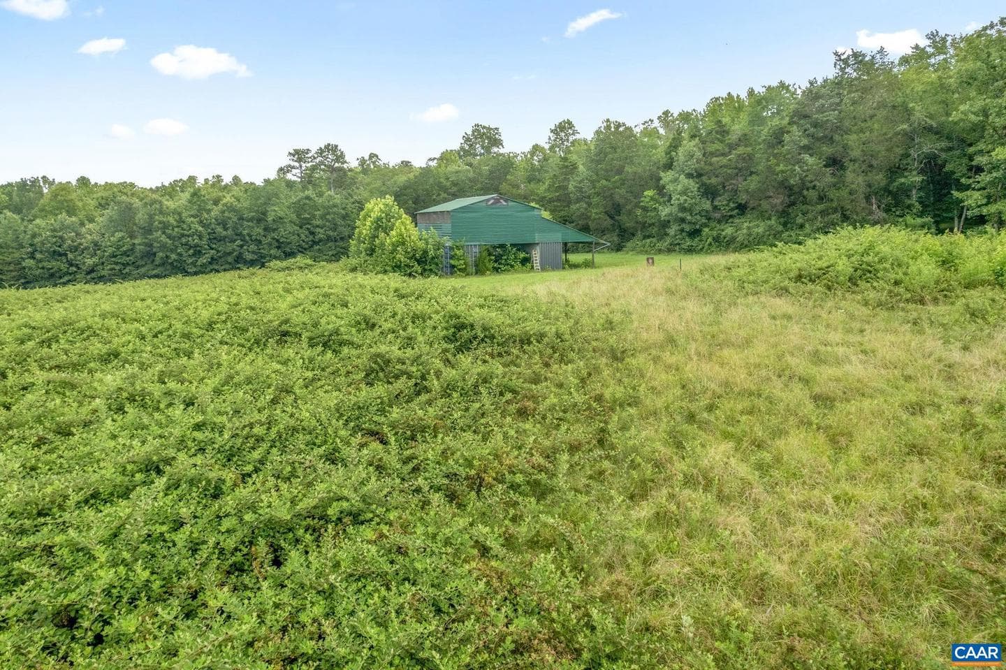 5039 James Madison Hwy photo 73