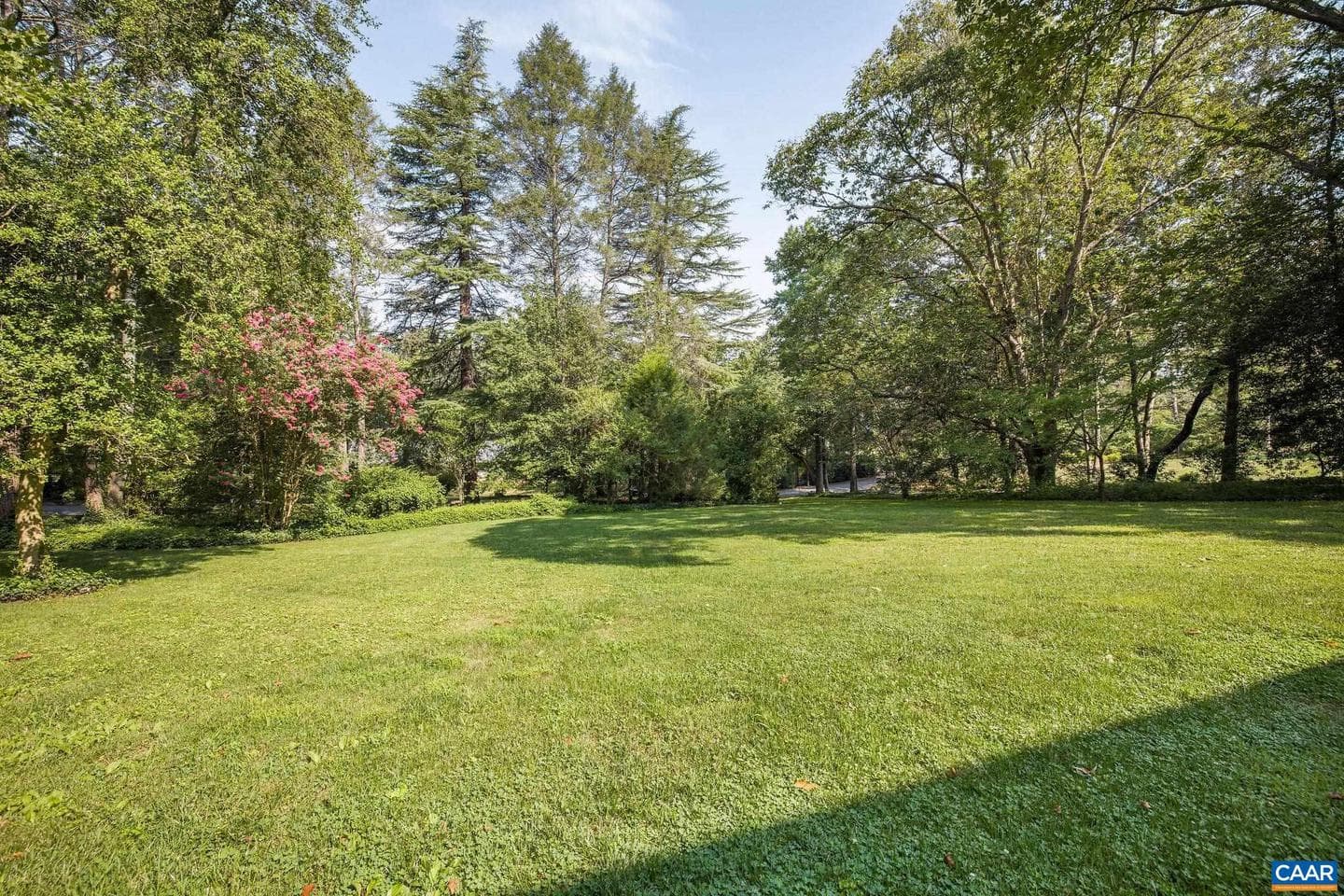 1204 Blue Ridge Rd photo 12