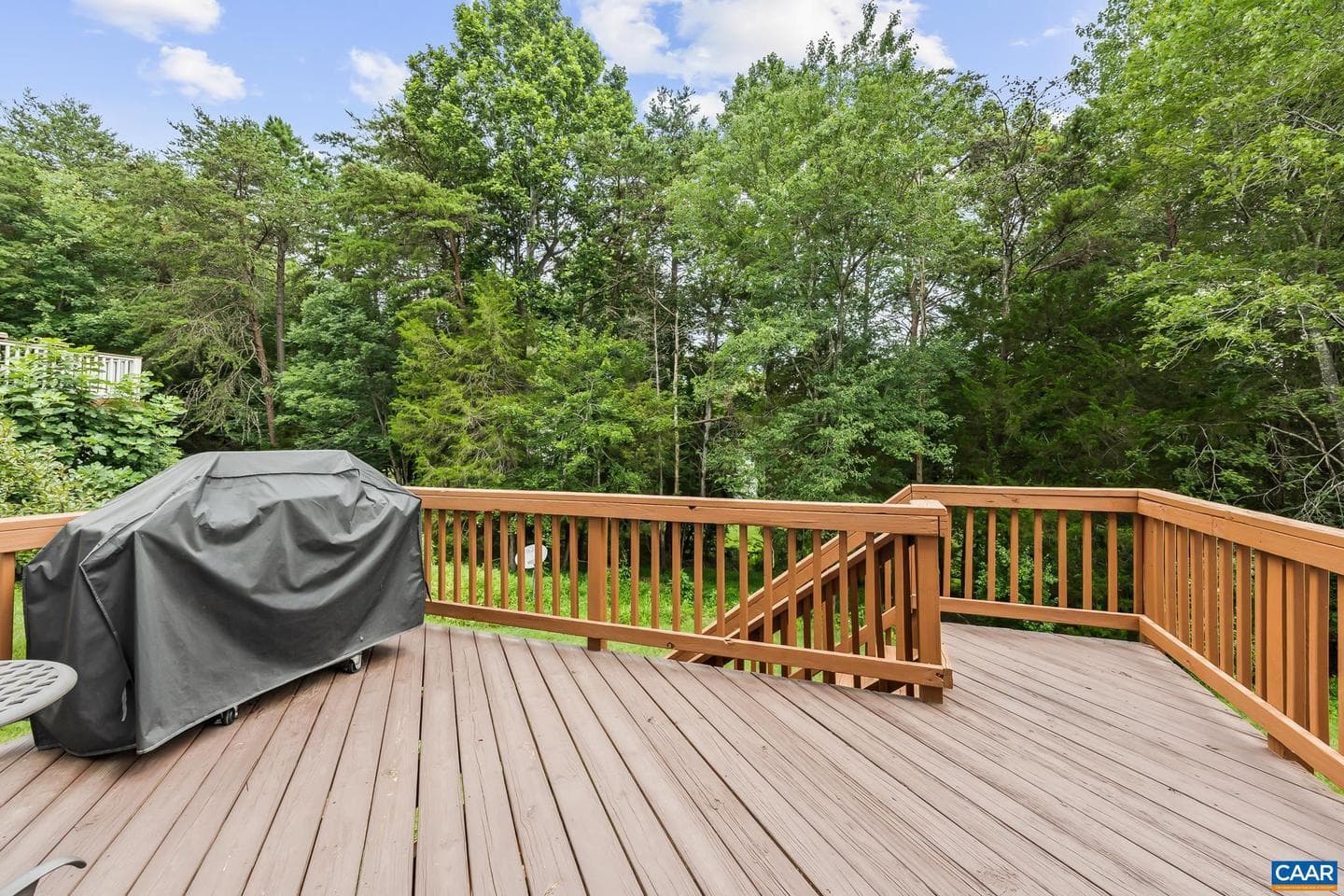 1011 Bristlecone Ln photo 20