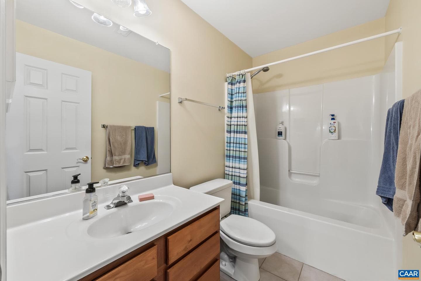 1011 Bristlecone Ln photo 28