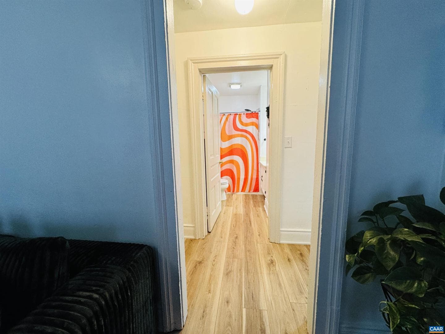 529 Bluff Ave photo 23