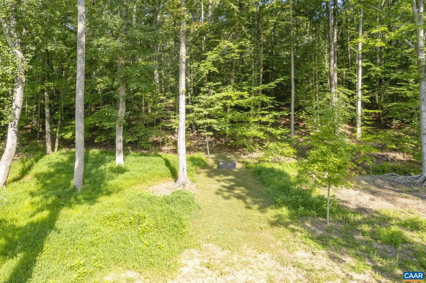 242 Bowlers Mill Ln photo 52