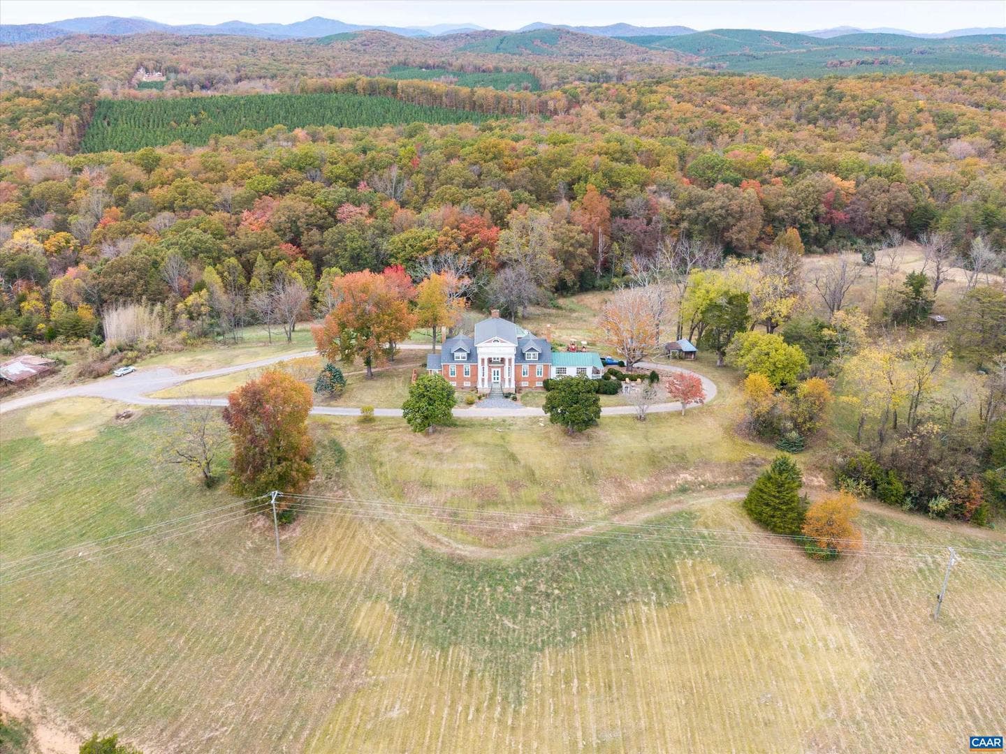 1843 Cabell Rd photo 73