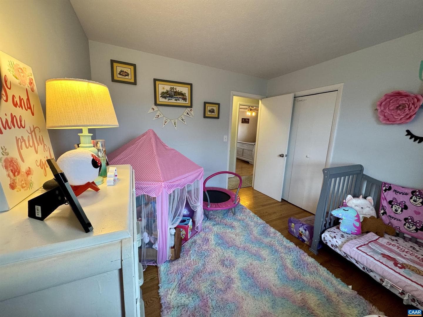 96 Mill Stone Dr photo 33