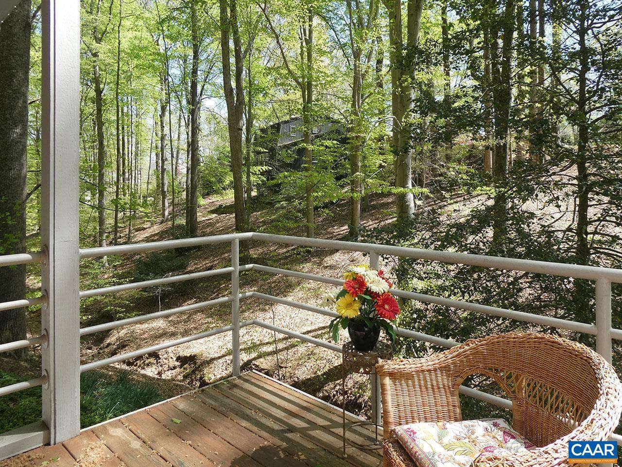1502 Holly Rd photo 12