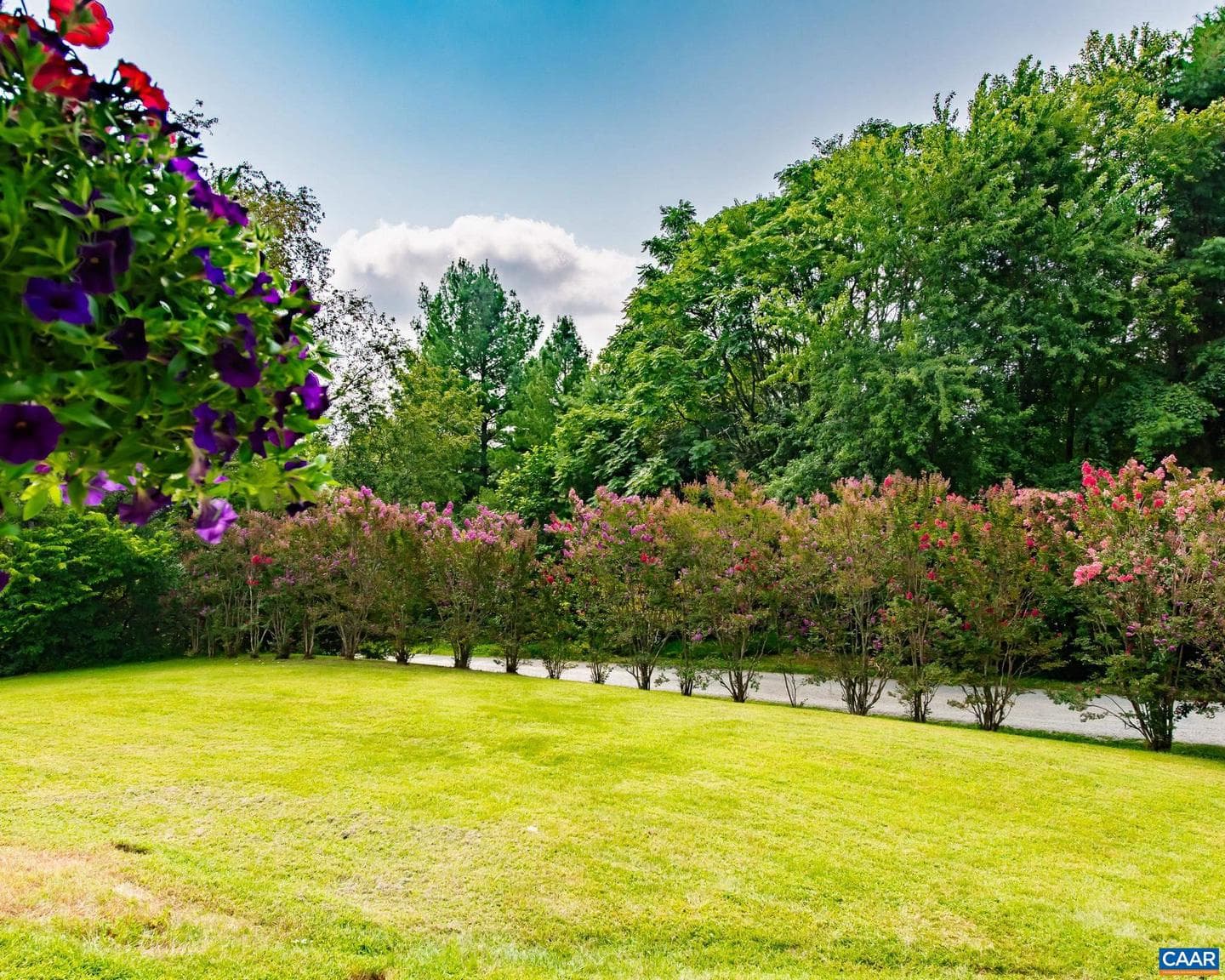 101 Dun Glory Dr photo 11