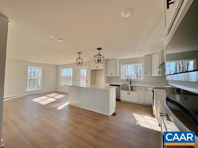 53 Porkchop Ct photo 5