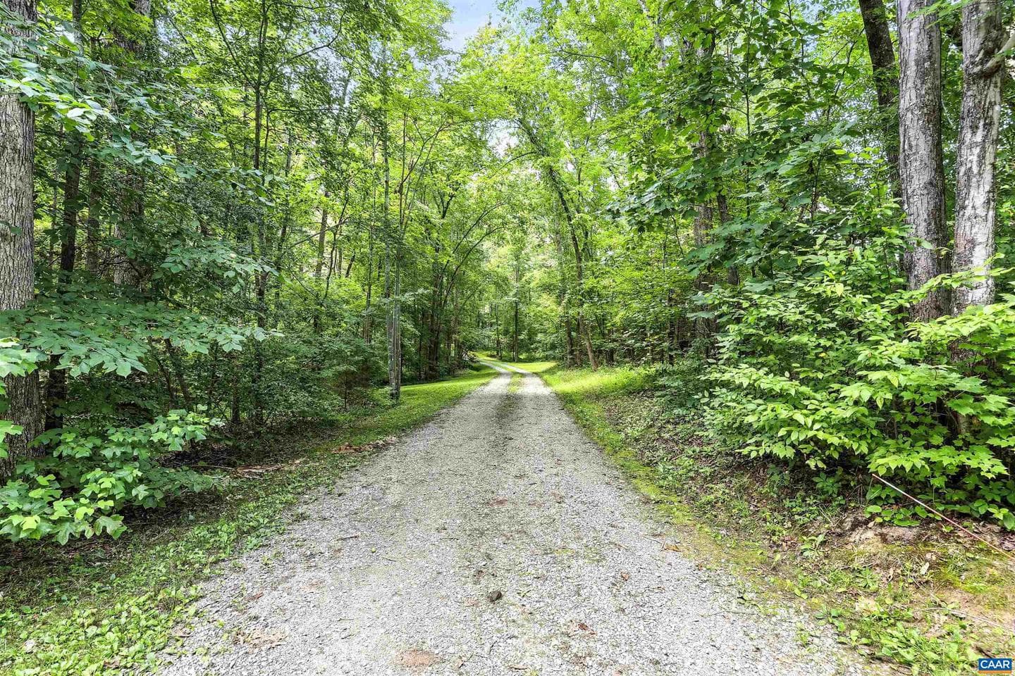 4290 Three Chopt Rd photo 9