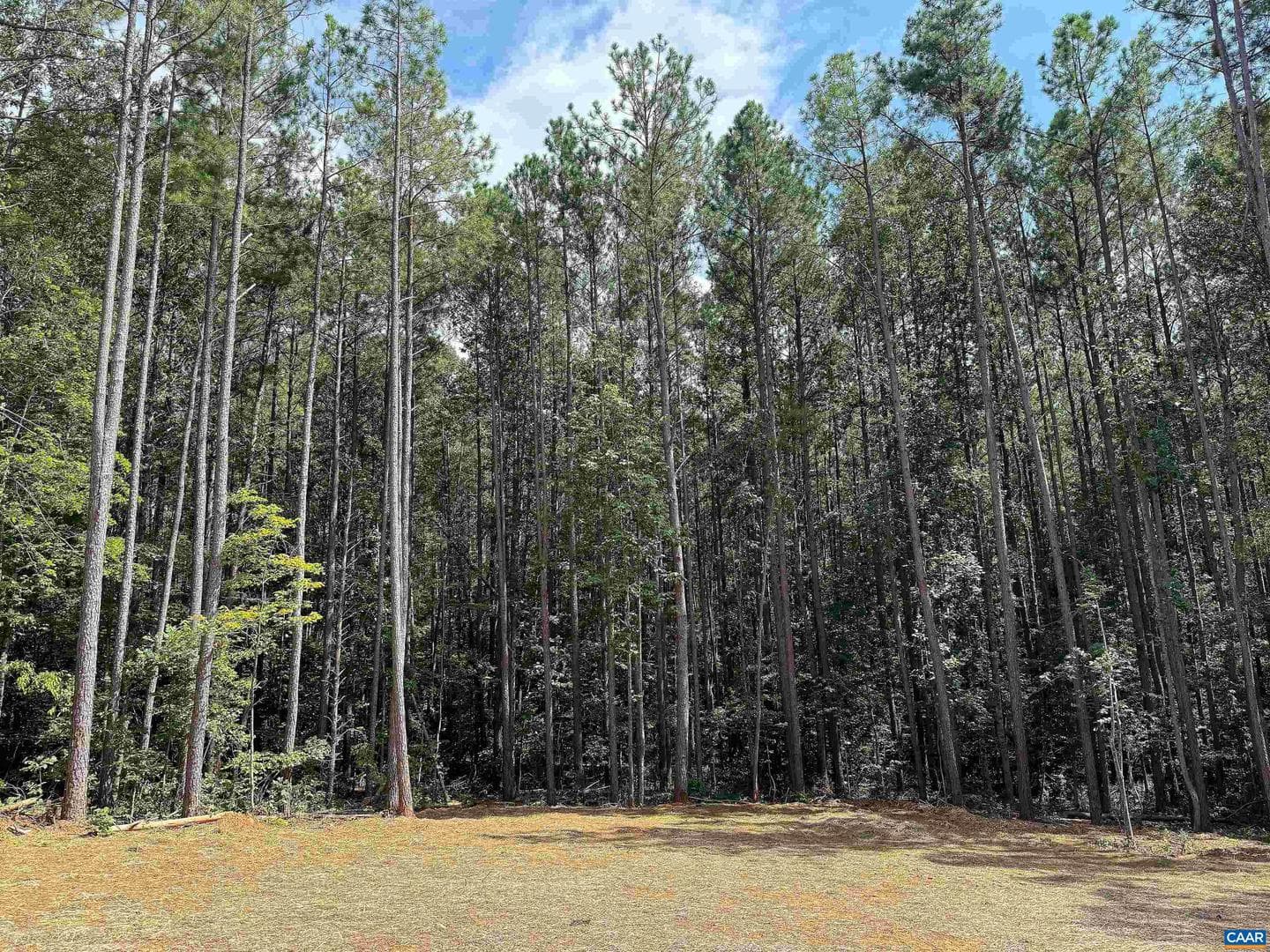 297 Slate River Trl photo 28