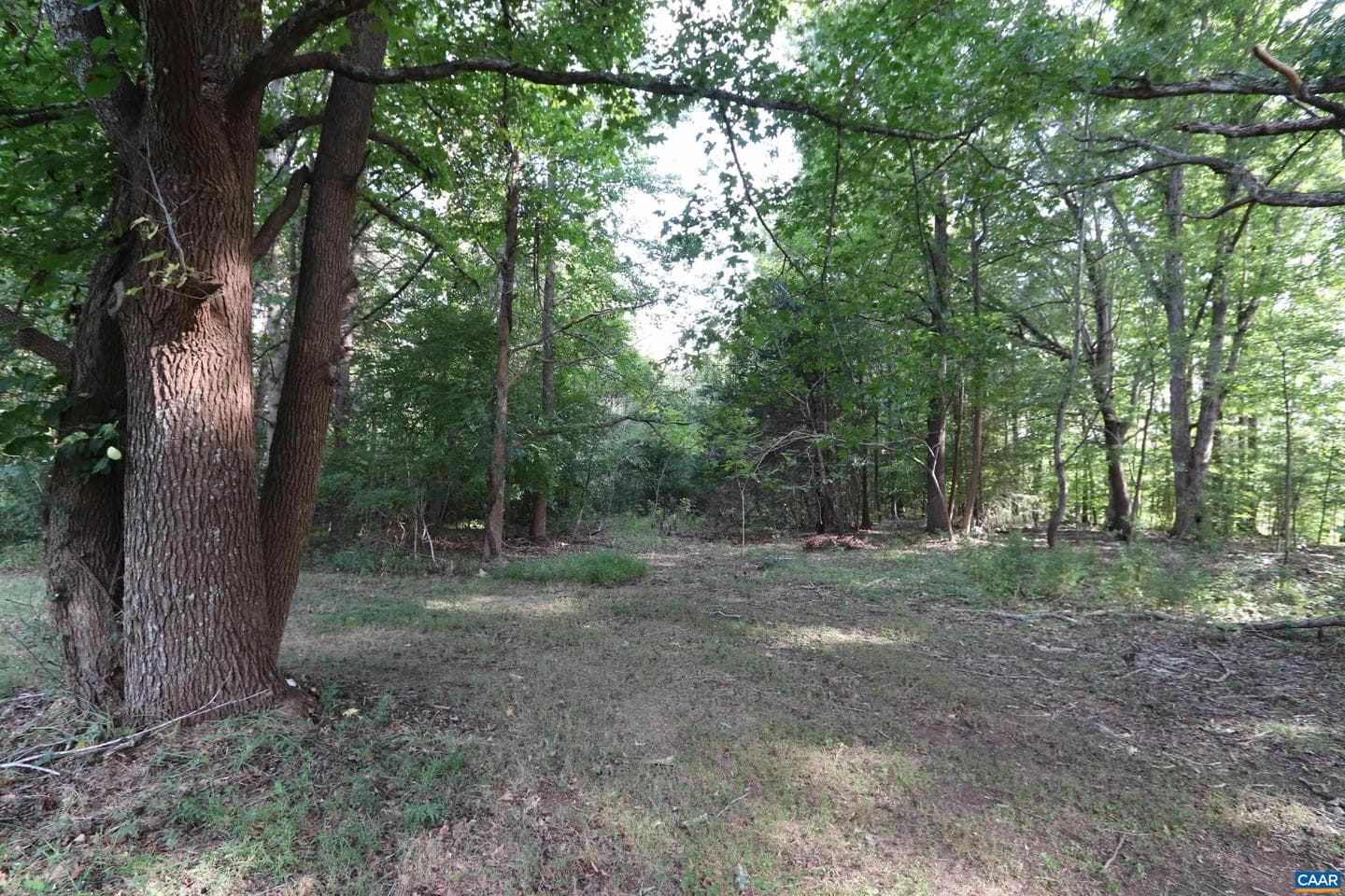 1041 W Old Mountain Rd photo 44