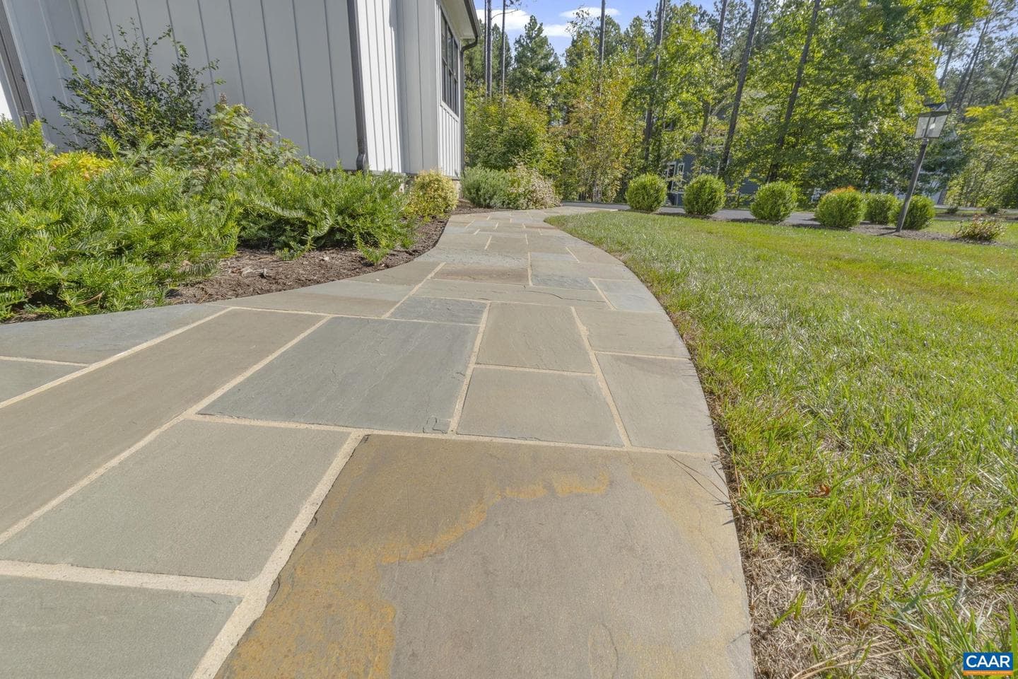 98 Pine Shadow Ct photo 5