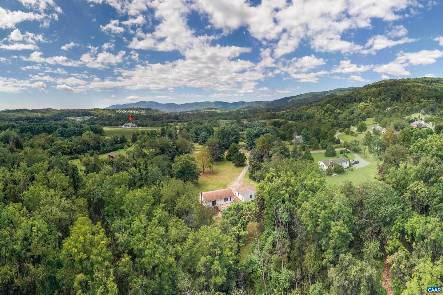 421 Newtown Rd photo 43