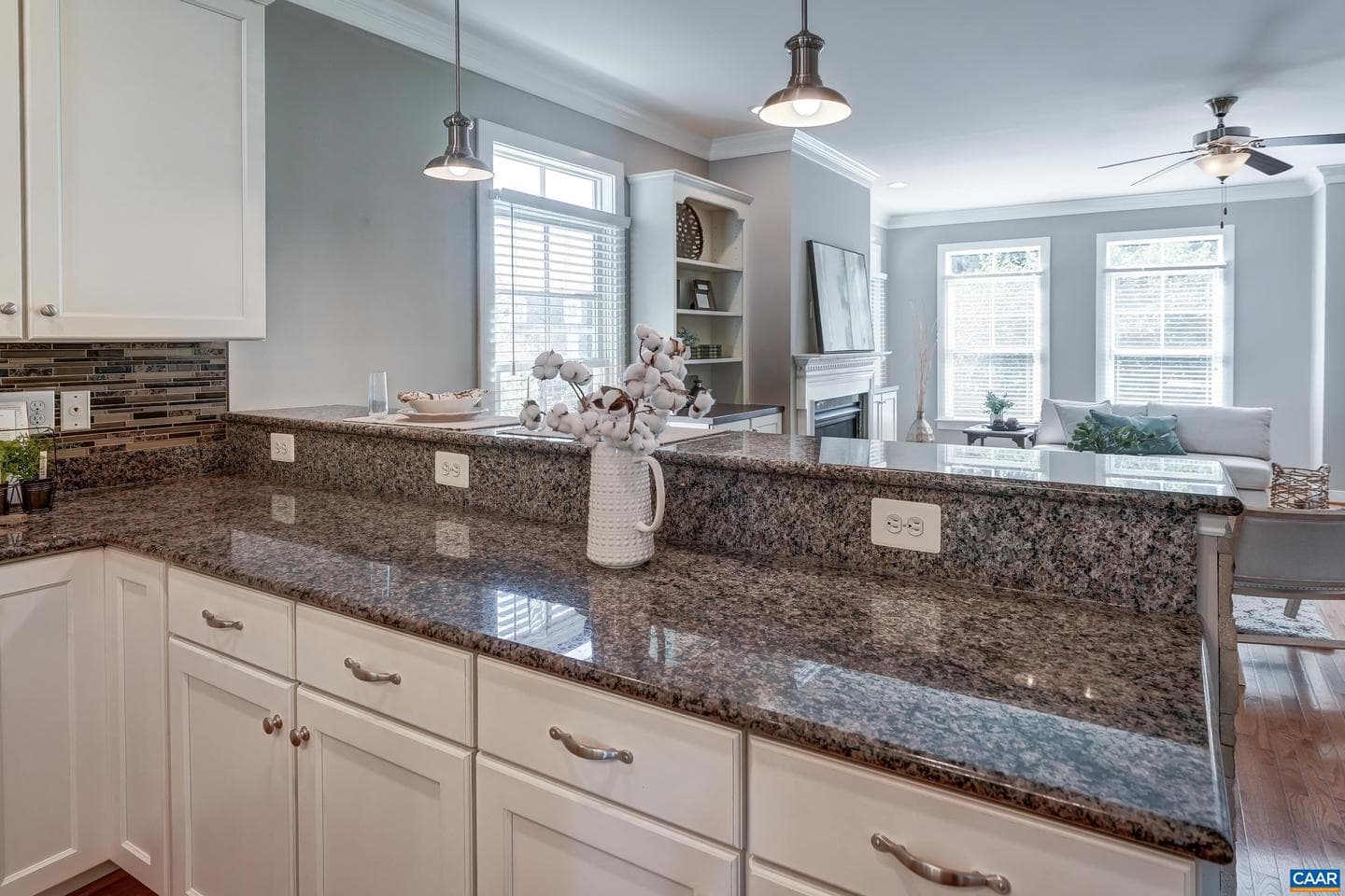 1059 Killdeer Ln photo 12