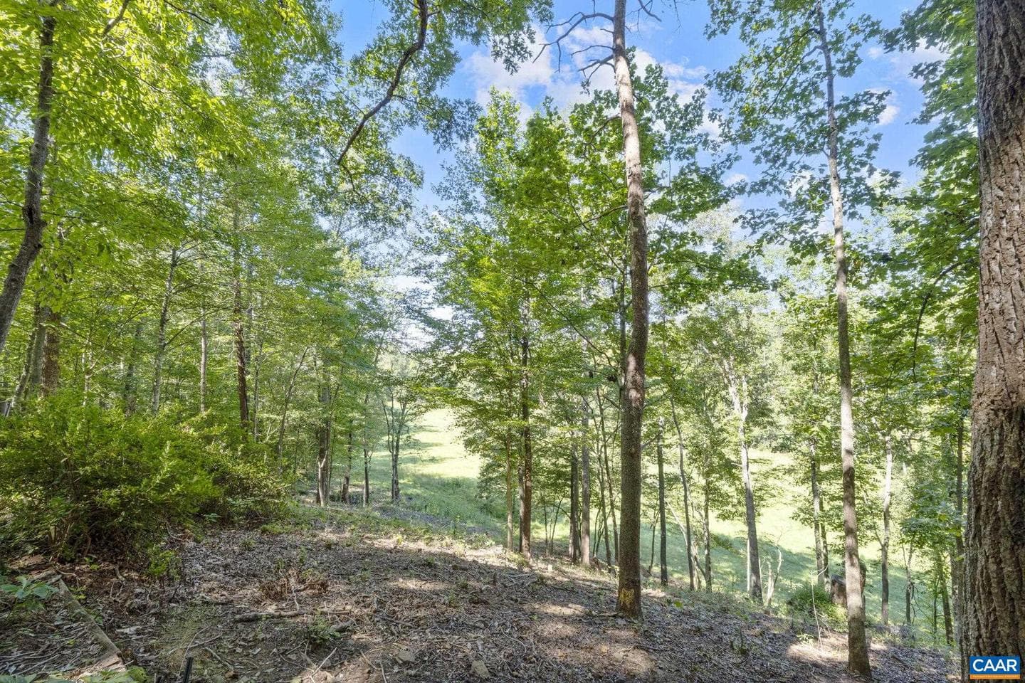 318 Miller School Rd photo 66