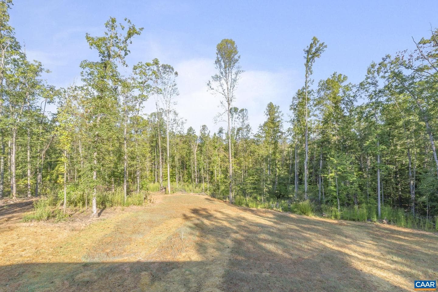 14116 Dickerson Ln photo 55