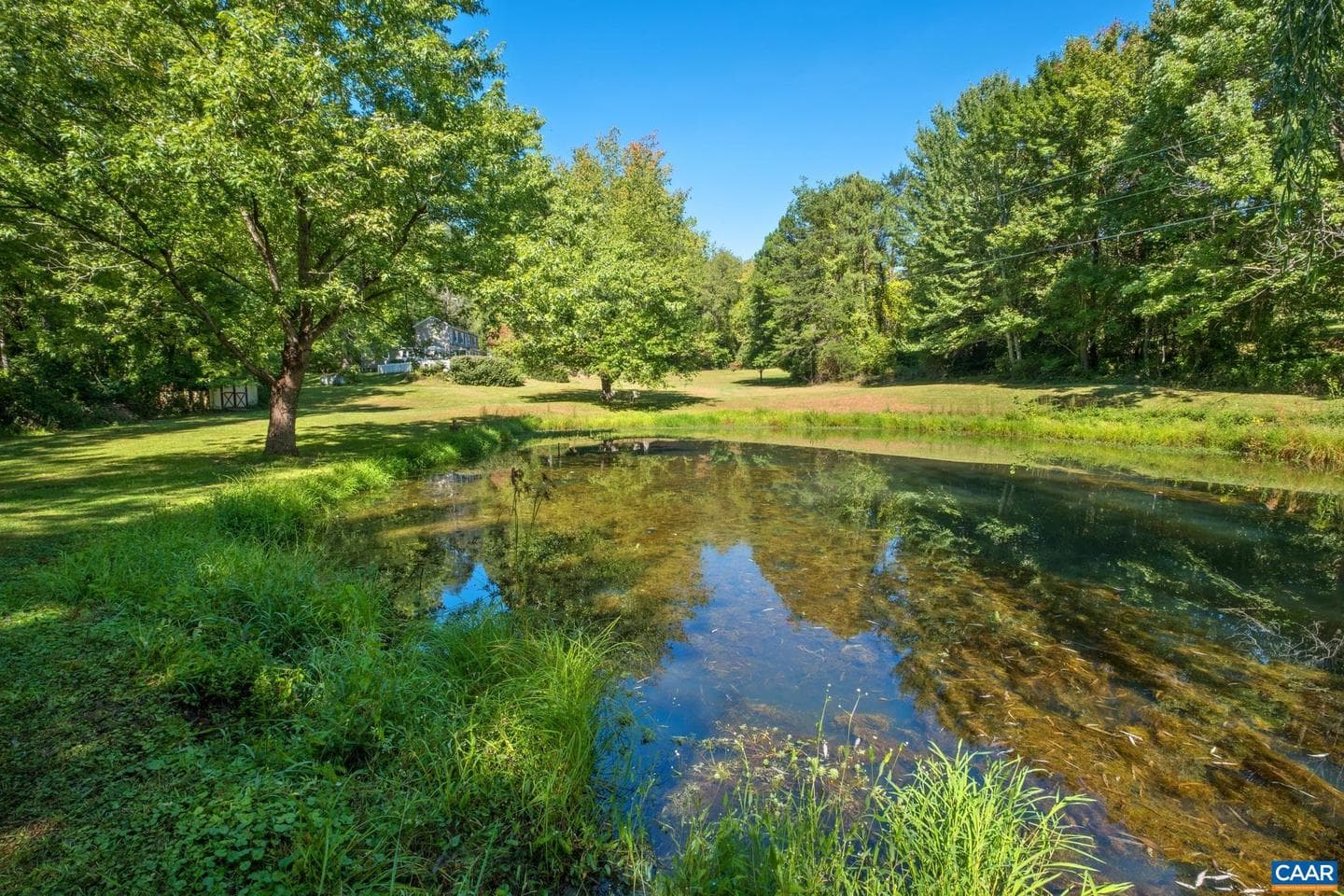299 Sunrise Dr photo 30