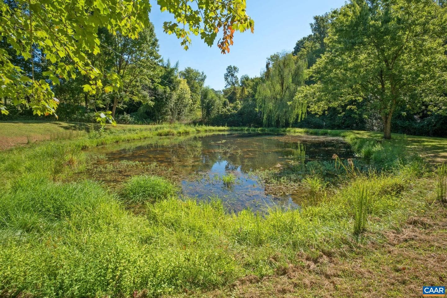 299 Sunrise Dr photo 31