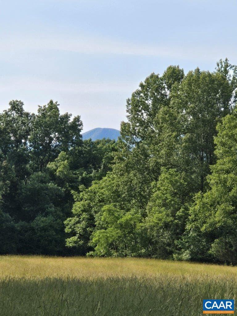 243 Huff Creek Trl photo 35