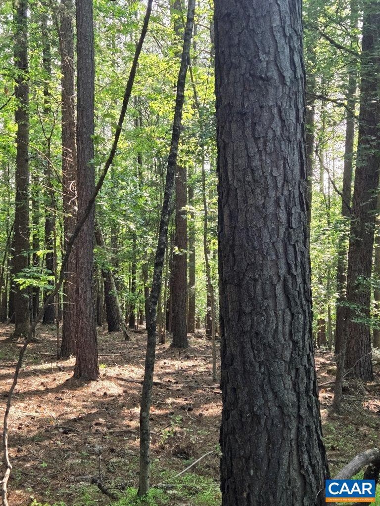 243 Huff Creek Trl photo 36