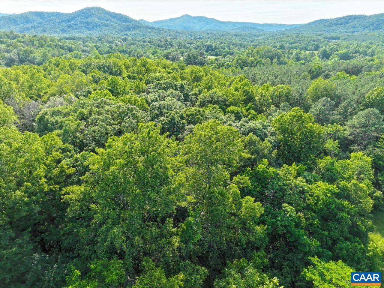 243 Huff Creek Trl photo 71