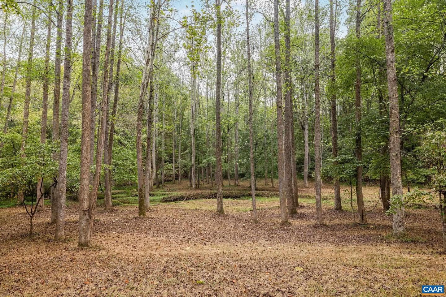 3395 Brookside Dr photo 58