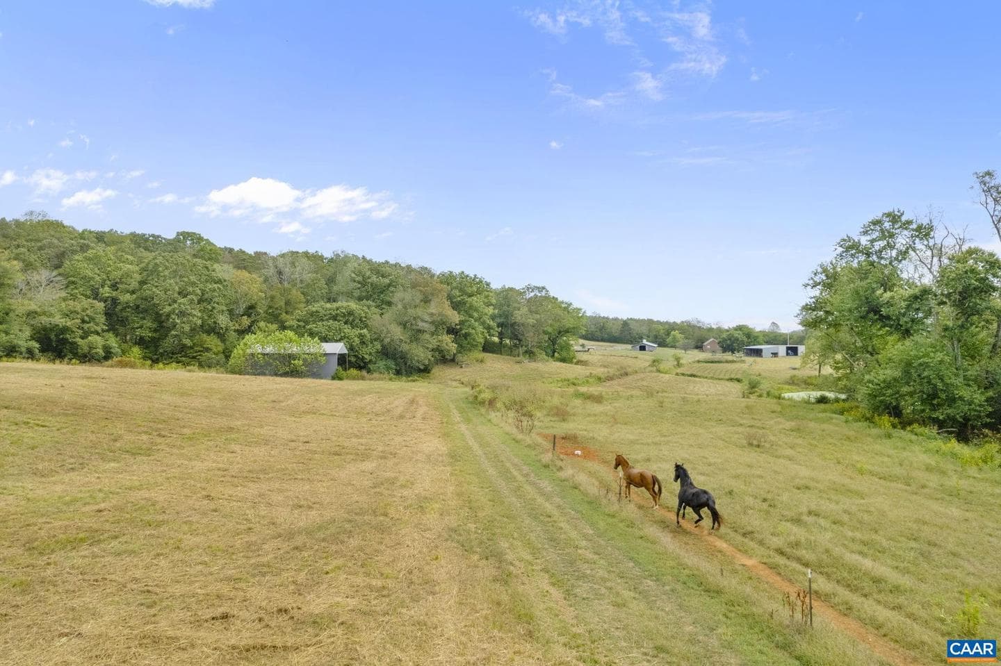 12189 Norwood Rd photo 49