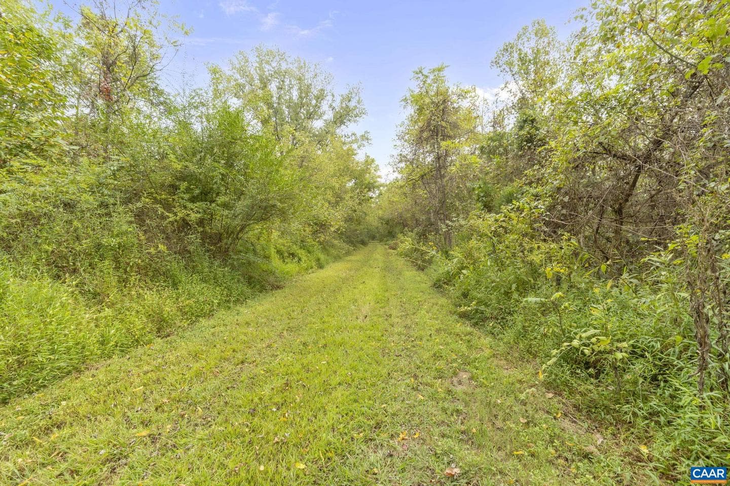 12189 Norwood Rd photo 71