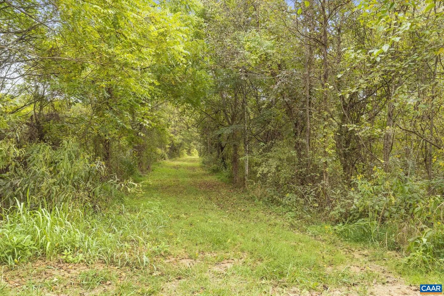 12189 Norwood Rd photo 72
