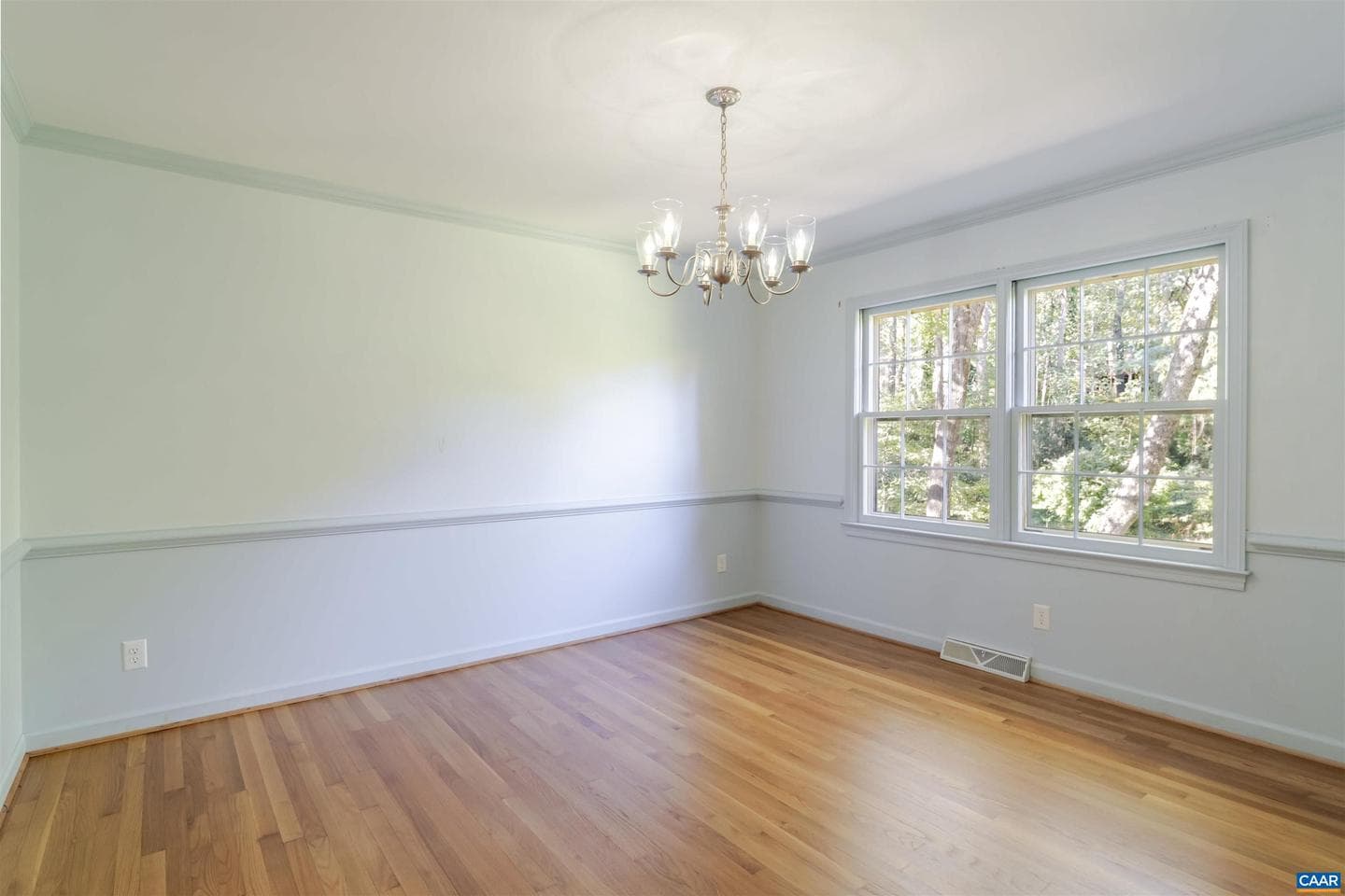207 Surrey Rd photo 14