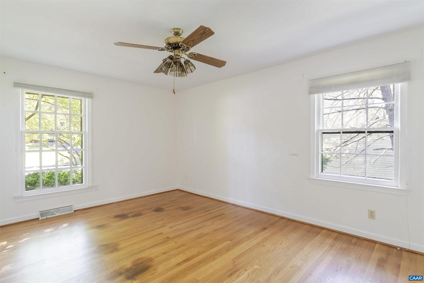 207 Surrey Rd photo 22