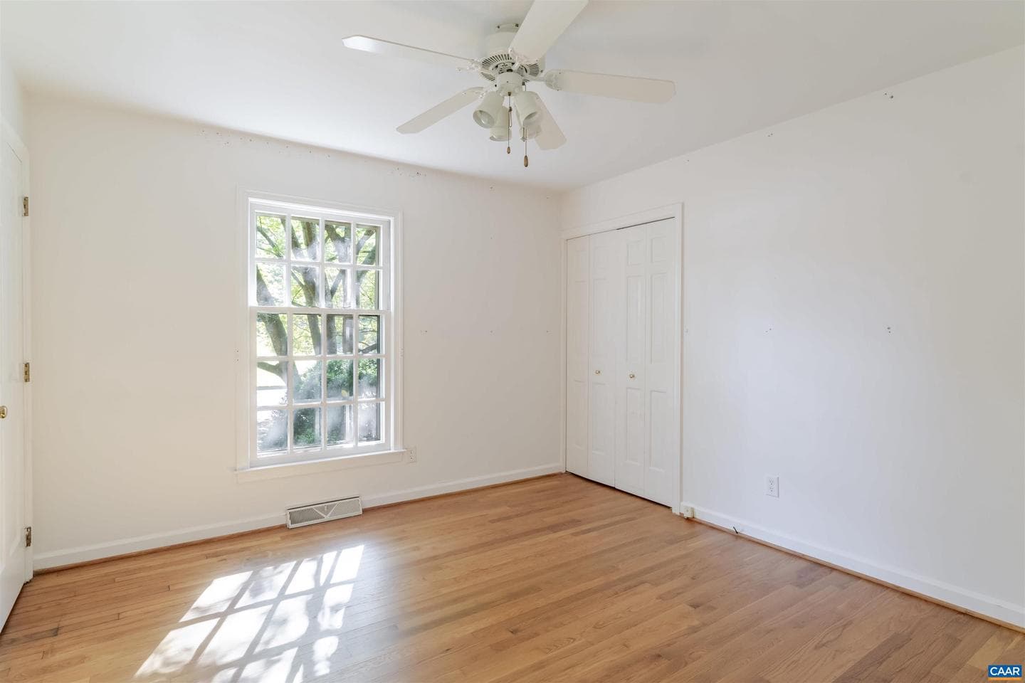207 Surrey Rd photo 24