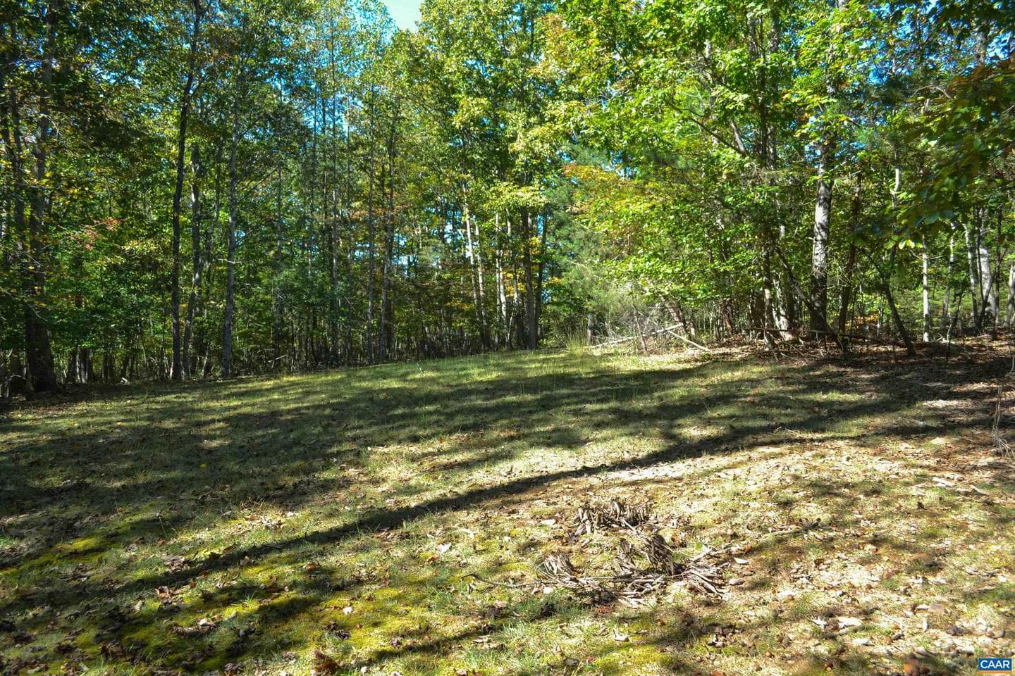 16070 Burnley Rd photo 32