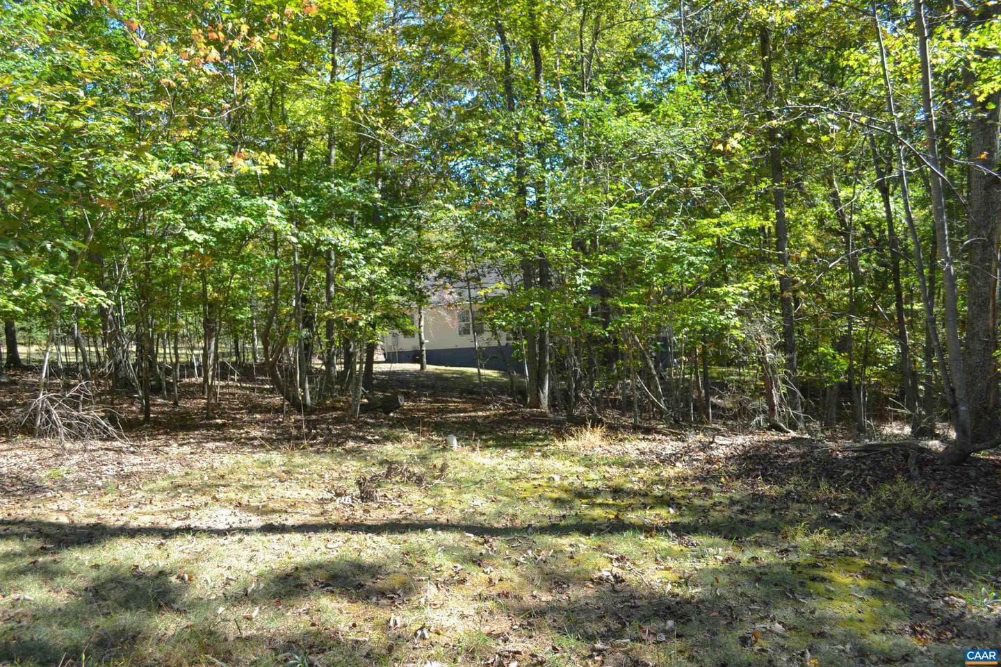 16070 Burnley Rd photo 33